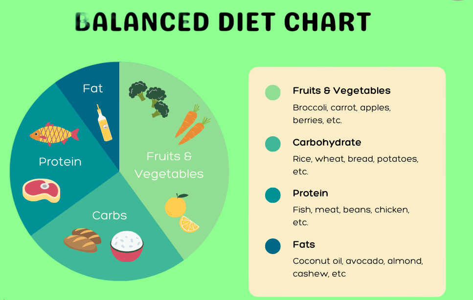 what to eat for balanced diet 
