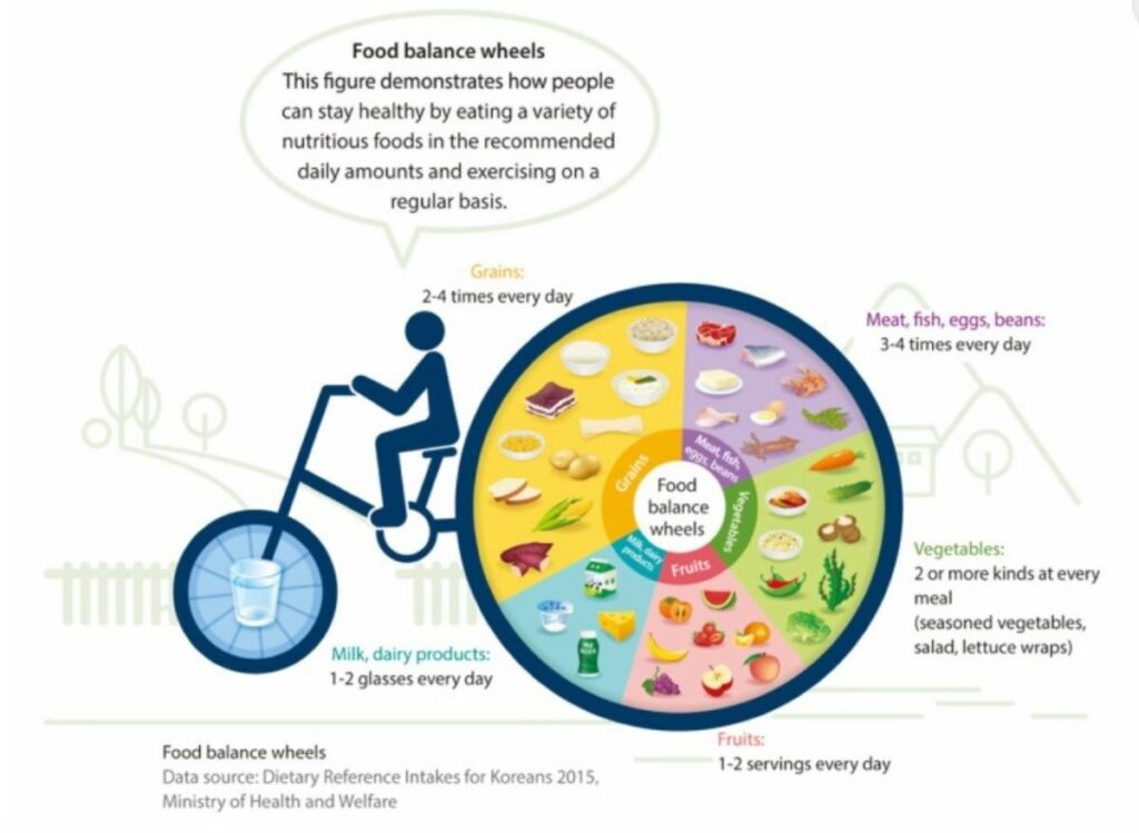 balanced diet according to NCBI