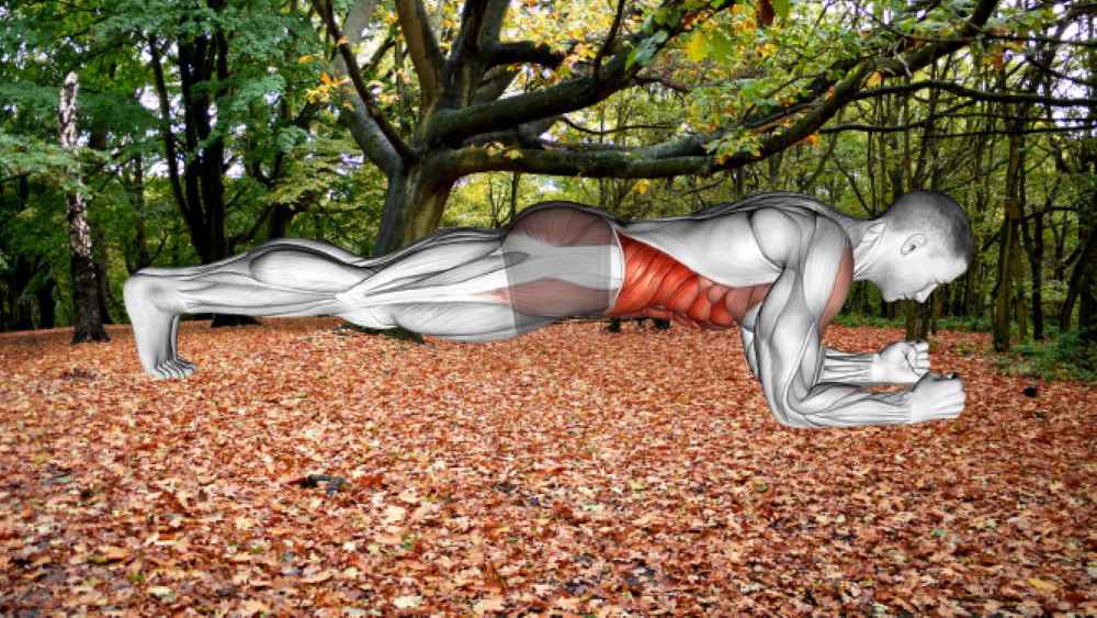 Outdoor bodyweight workouts planks