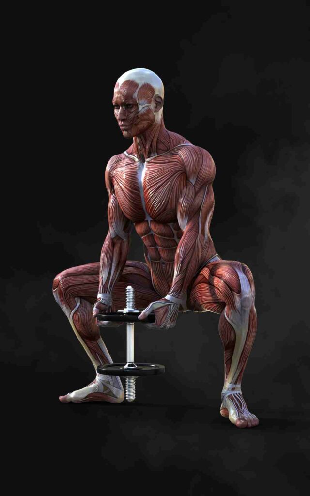 3d-illustration-man-doing-dumbbell-sumo-squat